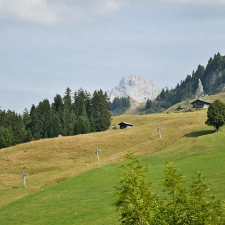 Les De L'aiguille C003 *